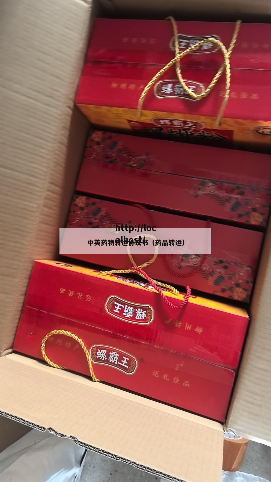 中英药物转运协议书（药品转运）