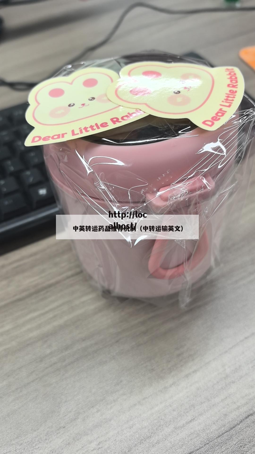 中英转运药品推荐机制（中转运输英文）