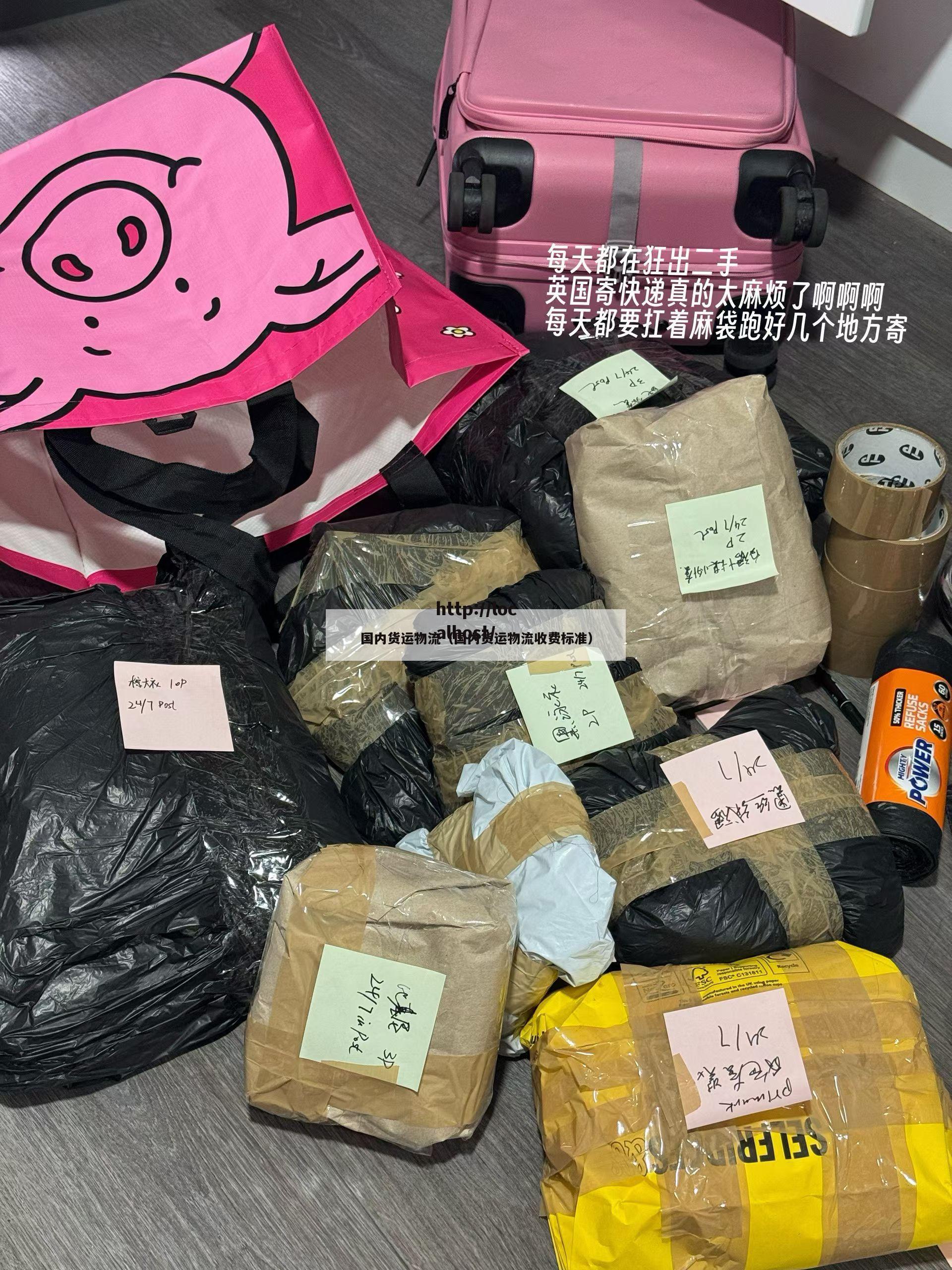 国内货运物流（国内货运物流收费标准）